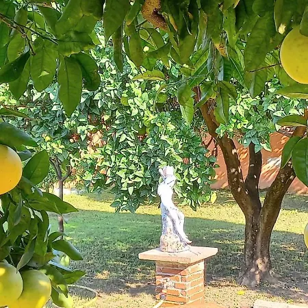 Da Ninnilla Appartamento