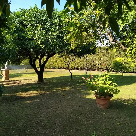 Da Ninnilla Scafati