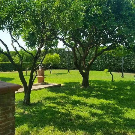 Apartman Da Ninnilla Scafati